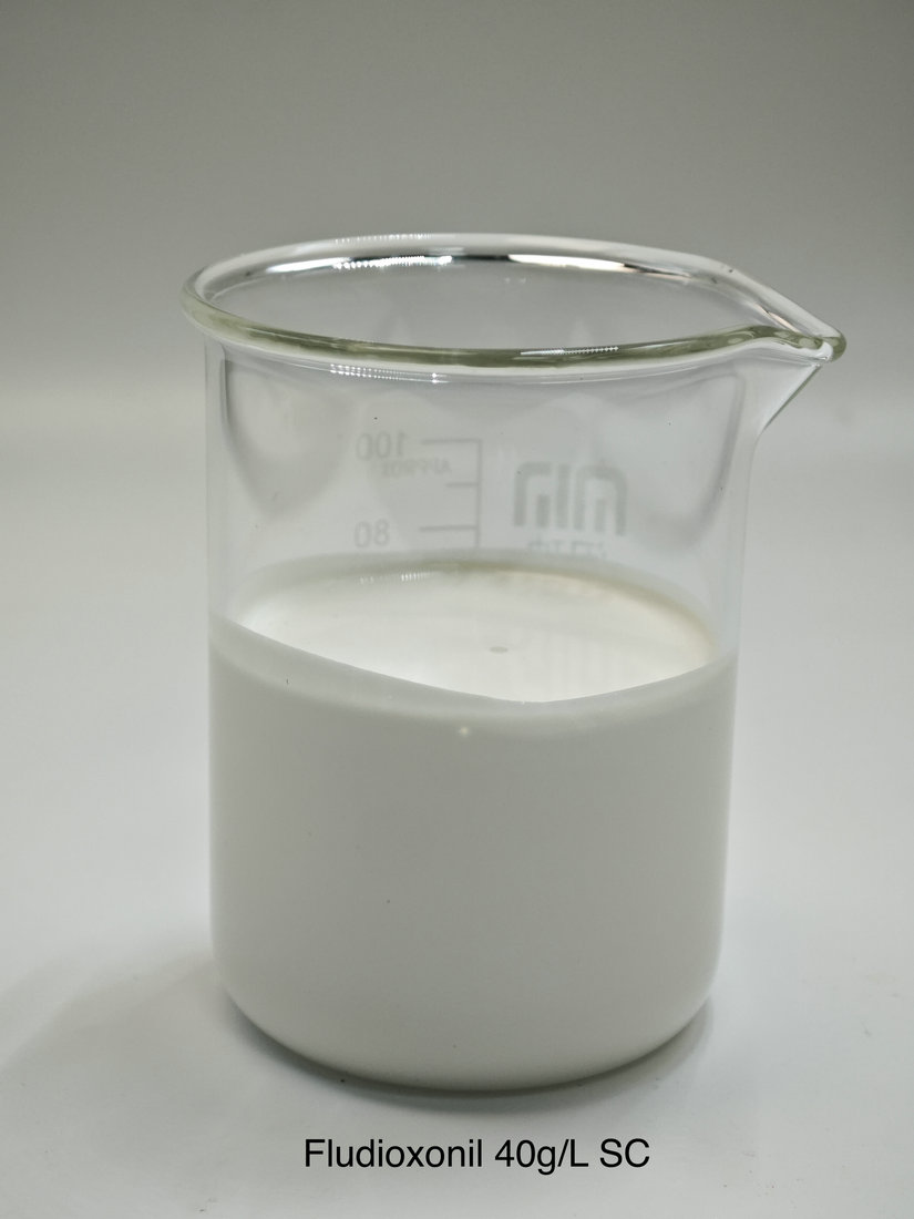 Fludioxonil 40g/L SC